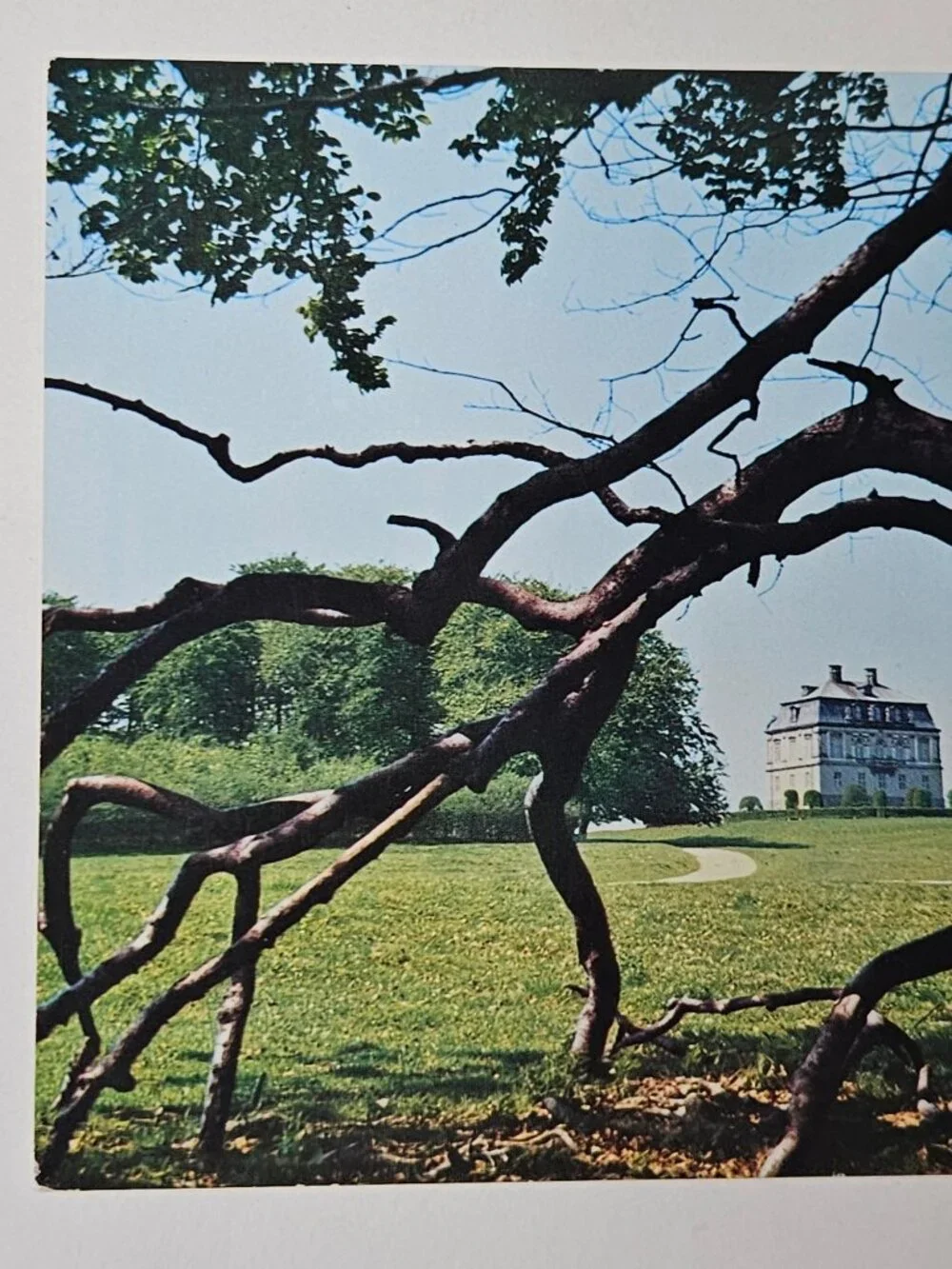 Kopenhagen The Deer Park and The Eremitage Postcard